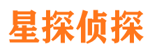 城中侦探公司